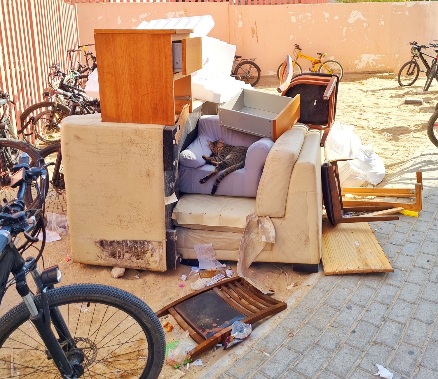 Discarded furniture and cat in urban outdoors with bicycles nearby.