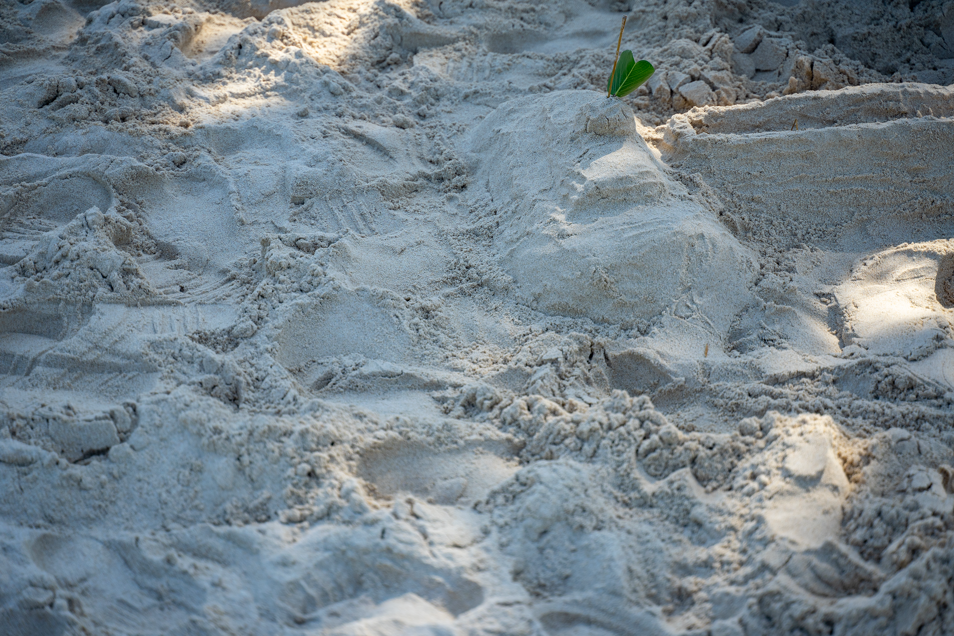 Detailed view of white sand with sunlight patterns and a single green leaf.