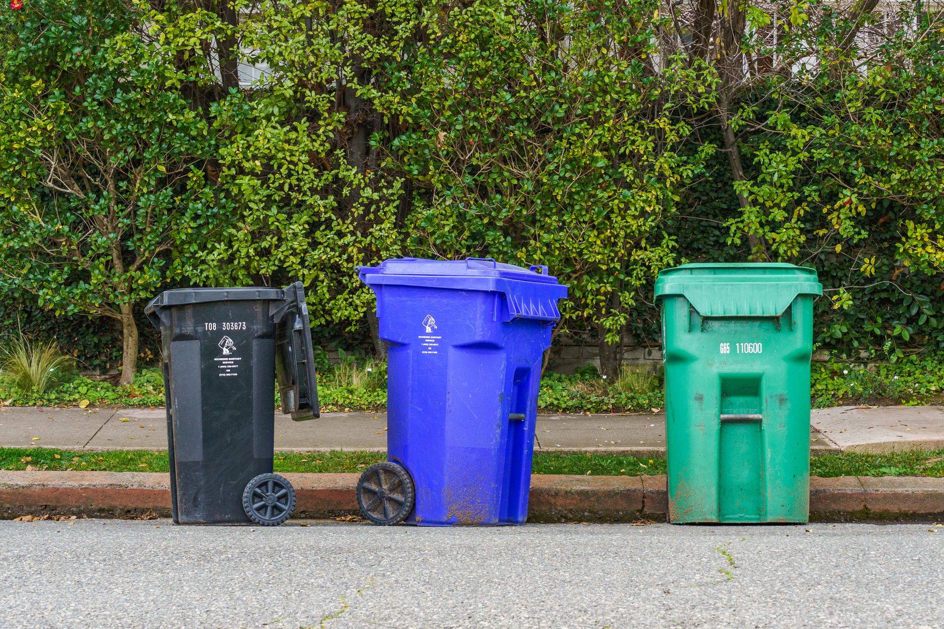 Black, blue, and green recycling bins on the street curb, ready for collection.