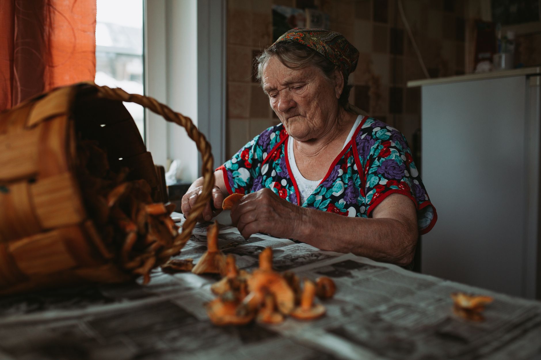Senior woman cleans wild mushrooms in a cozy room, showcasing traditional lifestyle.