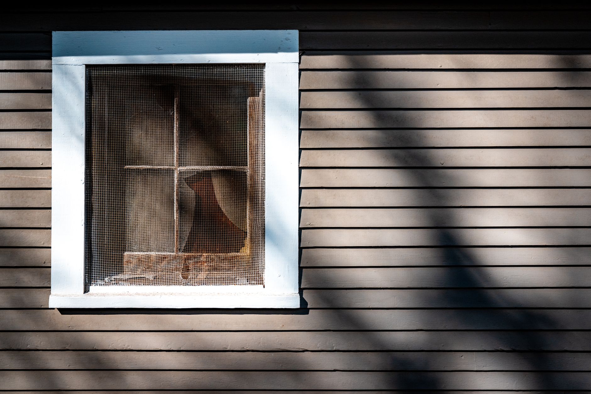 A rustic wooden house exterior showcasing a window with a mosquito net casting shadows in sunlight.